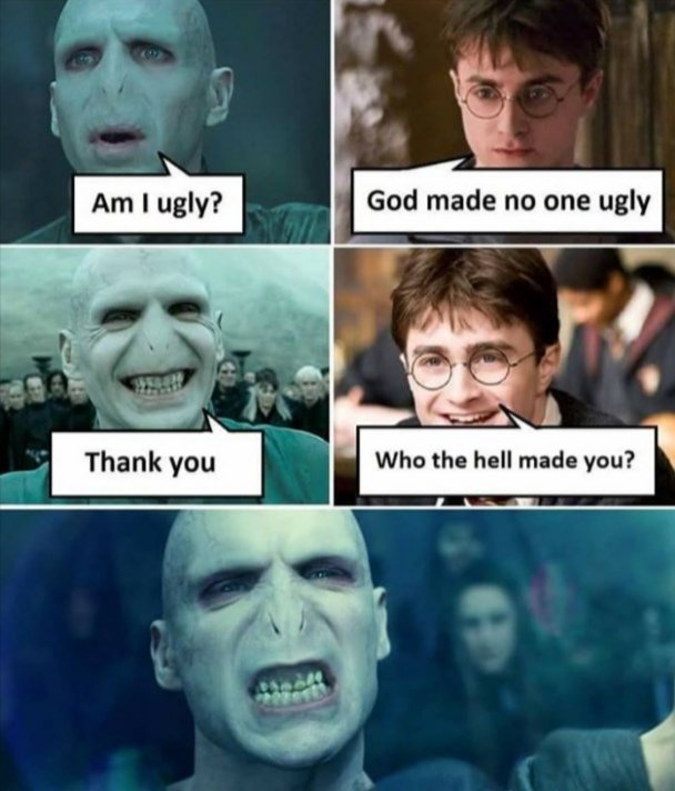 Funny Voldemort Meme | Harry Potter Amino
