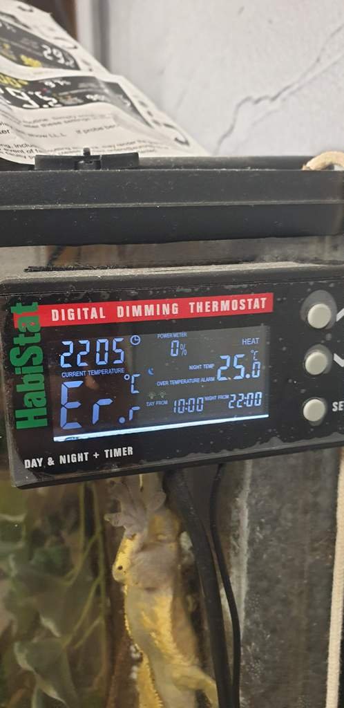 Habistat thermostat Herps and Reptiles Amino