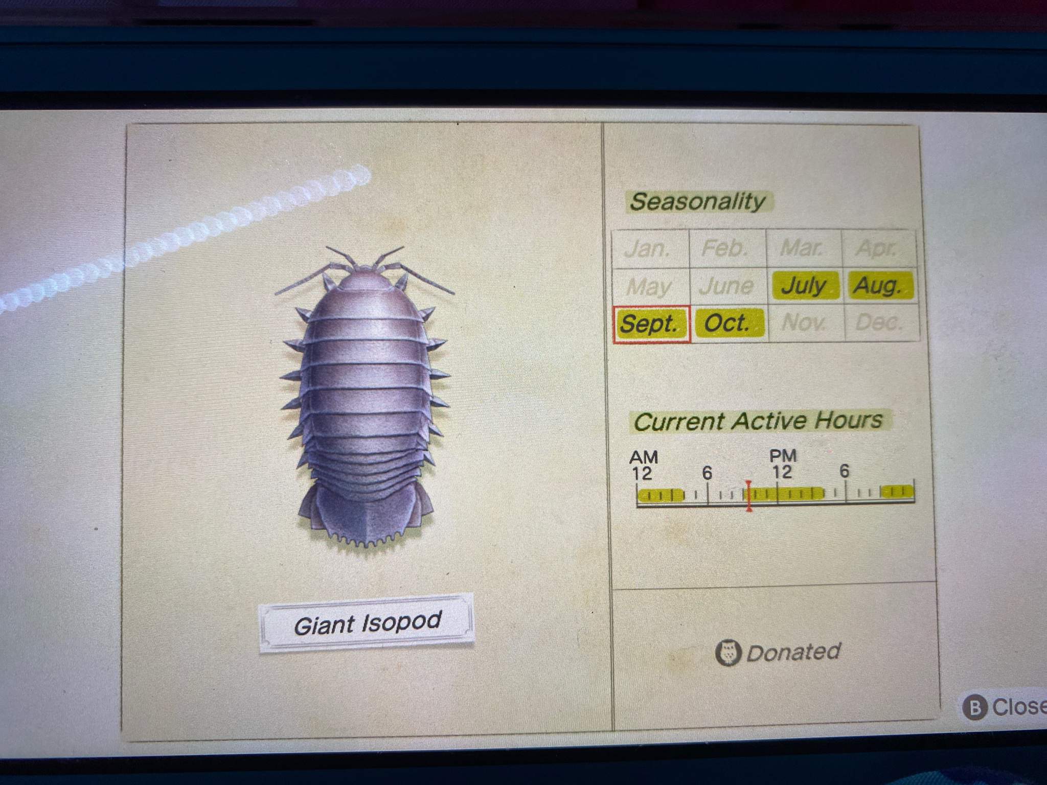 Giant Isopod Help | Wiki | Animal Crossing New Horizons Amino