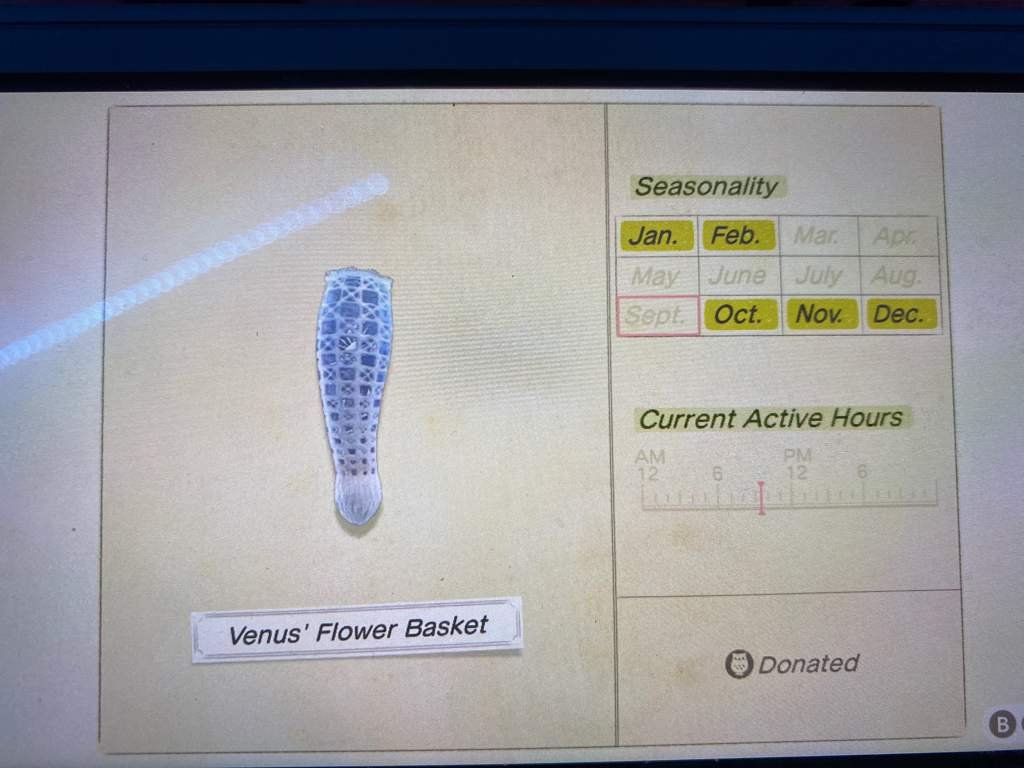 Venus Flower Basket Help Wiki Animal Crossing New Horizons Amino