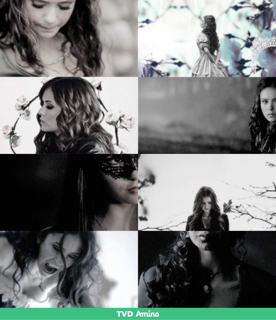 How does Katherine die in Vampire Diaries? ⚜️Vampire Diaries⚜️ Amino