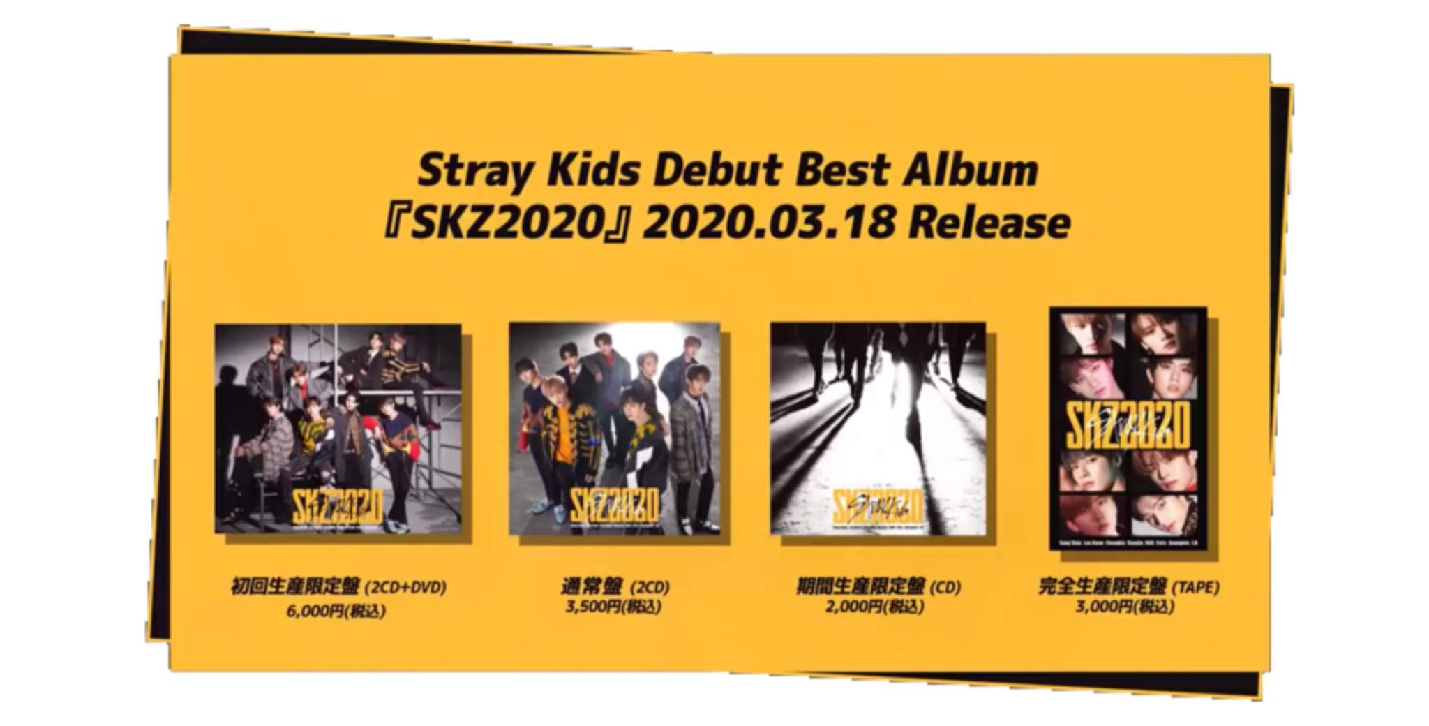 SKZ2020 | Wiki | Stray Kids Amino