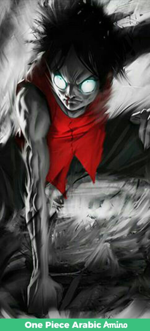 Monkey D Luffy Wiki One Piece Arabic Amino