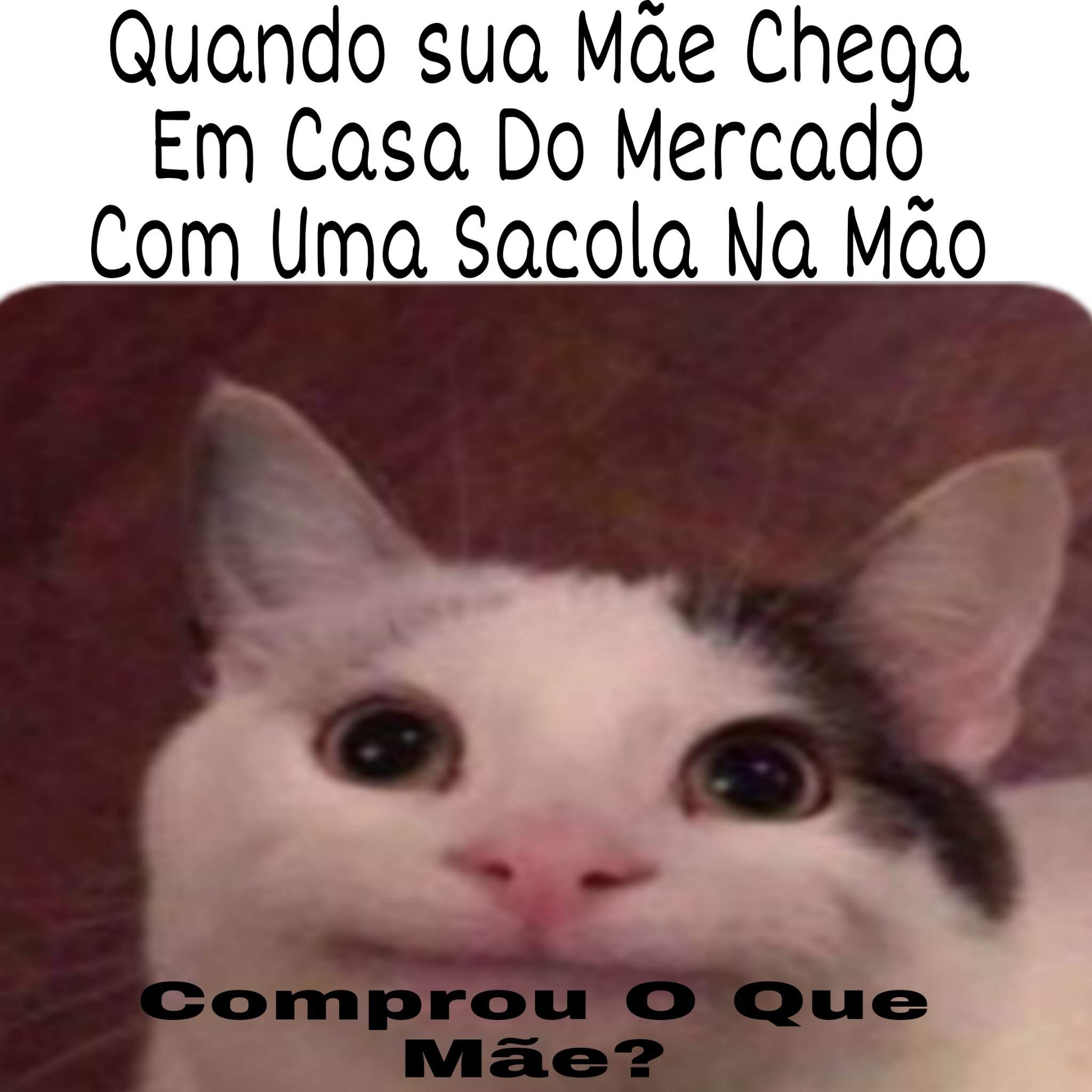 Memes Hu3 Br Amino 