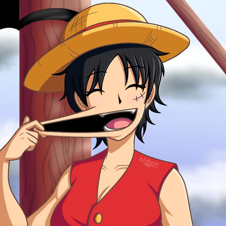 Gender bend Luffy One Piece Amino.