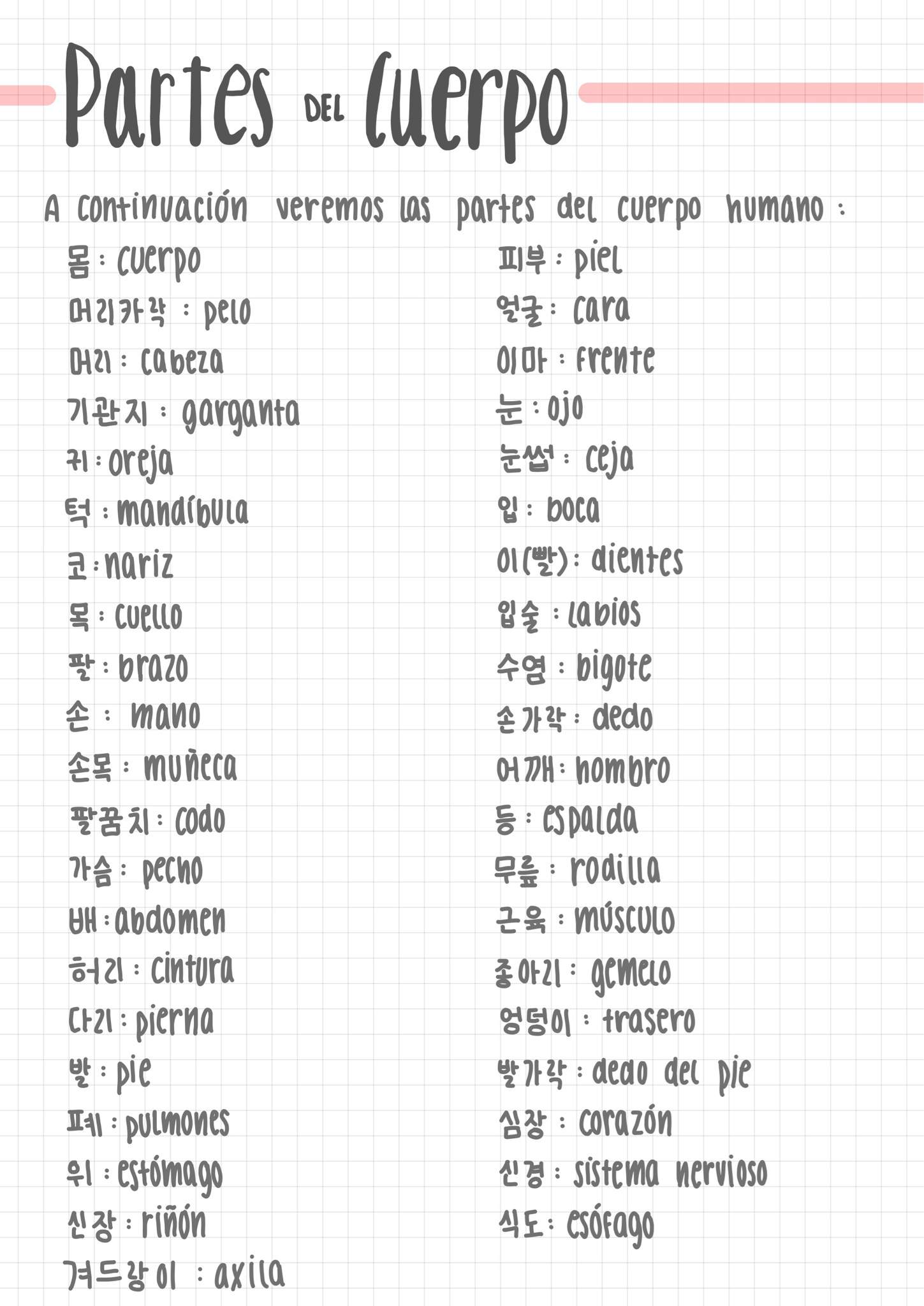 Partes Del Cuerpo Aprende Coreano Amino Amino
