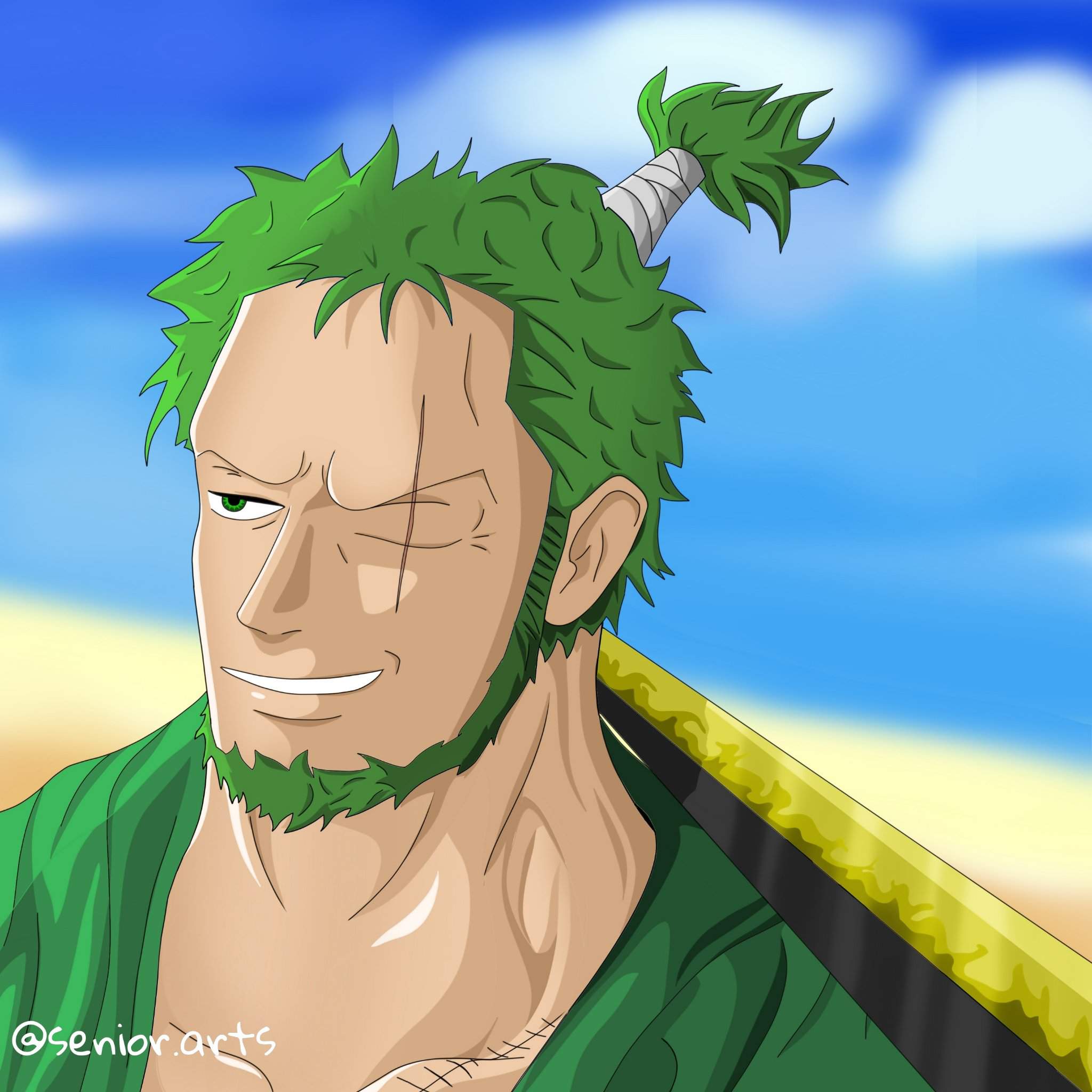 Old Man Zoro Fanart One Piece Amino