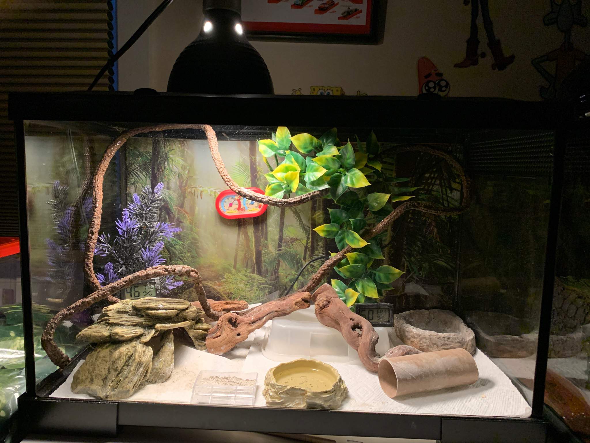 Leopard Gecko Terrarium Substrate And Heating 