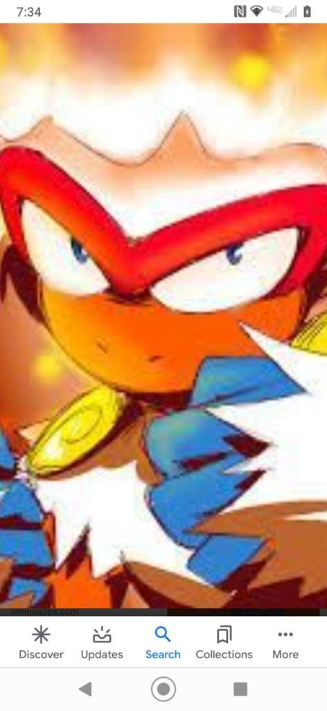 Ranking all the fire starters Wiki Pokémon Amino