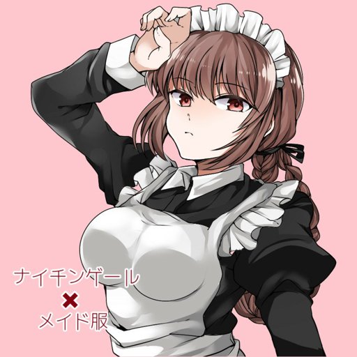 Florence Nightingale Caster Wiki Fate Series Roleplay Amino 0515