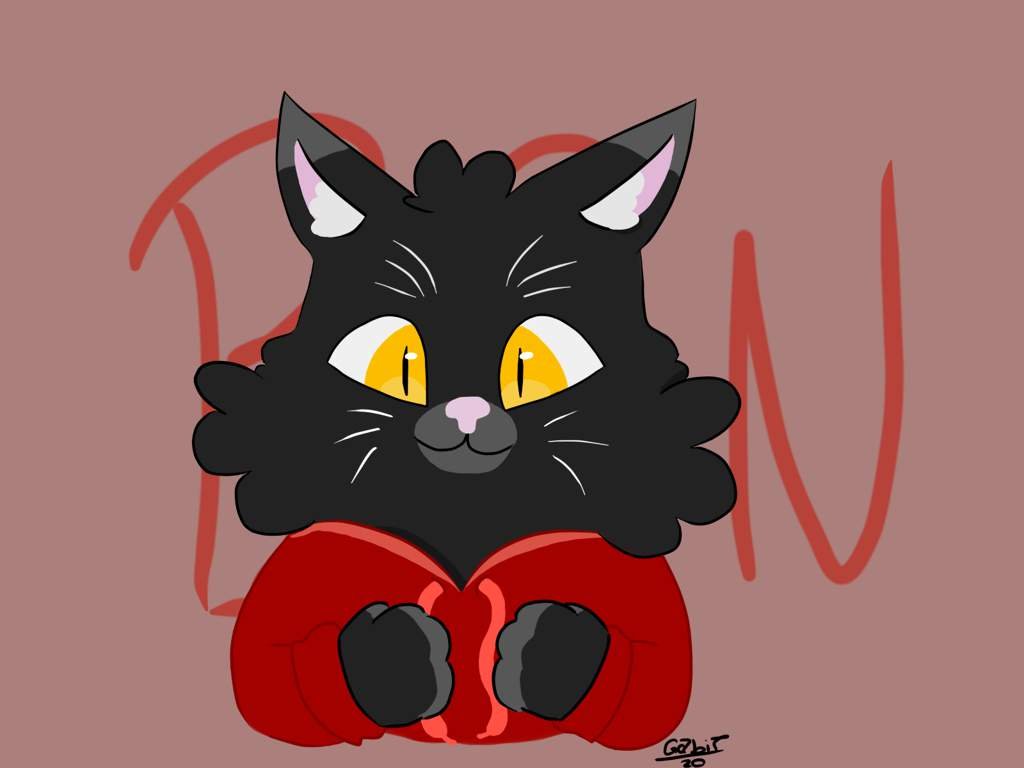Banguela•°🐱 《Adopts》BR PT Amino