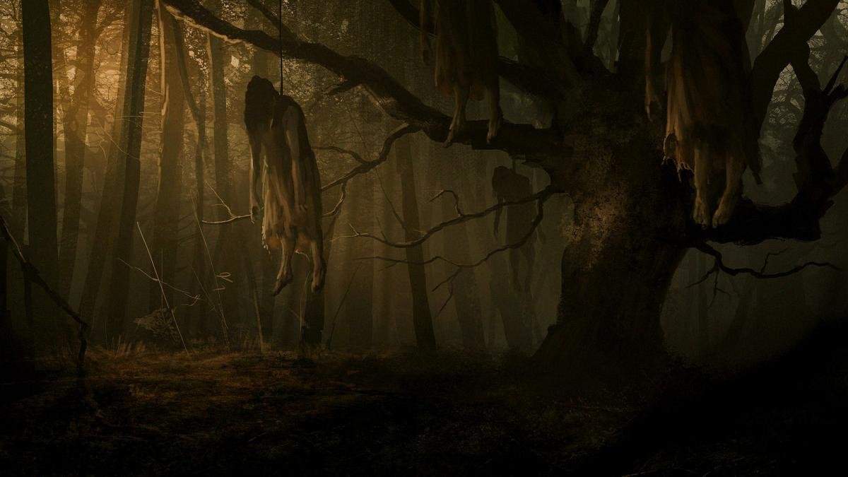 Аокигахара лес с мертвецами