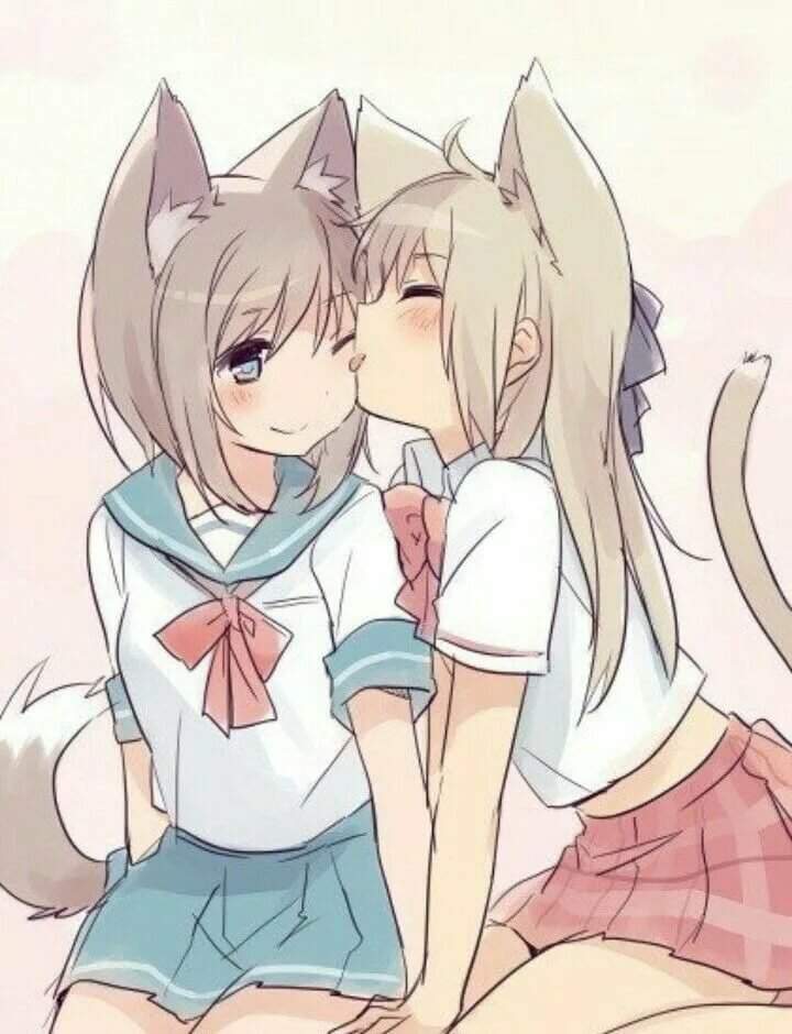 Cat licking pussy