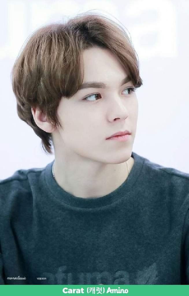 Hansol Vernon Chew Wiki ENHYPENENGENE Amino Hansol Vernon Chew Wiki ENHYPENENGENE Amino