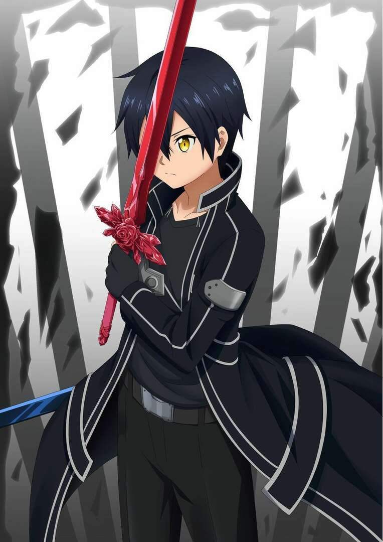 Sword Art Online Black Swordsman Ace Wiki Аниме Amino Amino