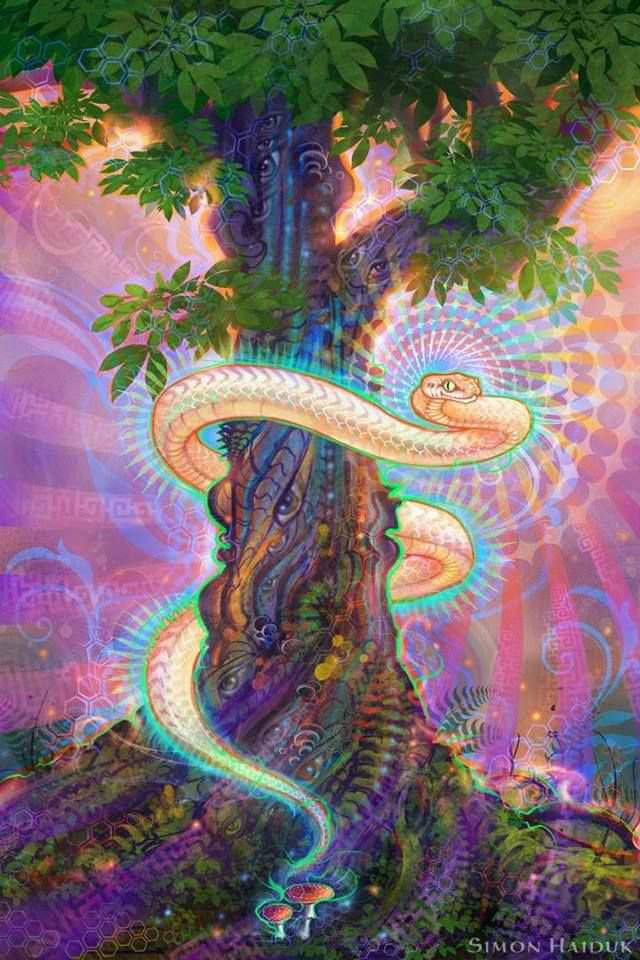 rainbow-serpent-wiki-therian-amino-amino