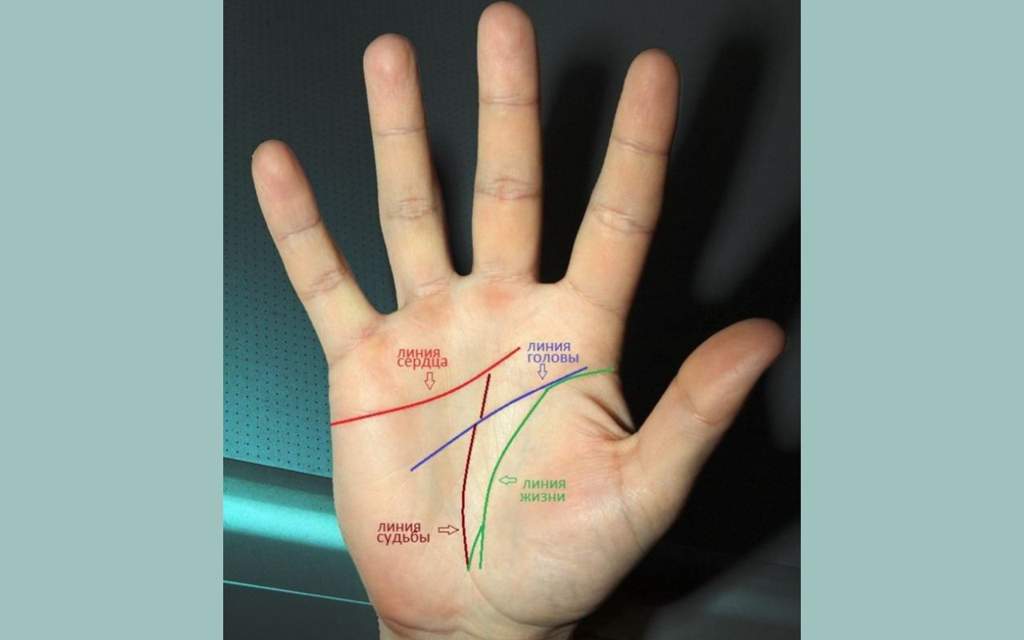 Хиромантия по руке линия жизни с разъяснениями и фото