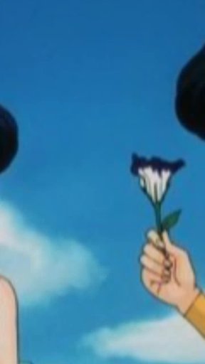 amino-,creseida ♡# ranma-62ce0ed5