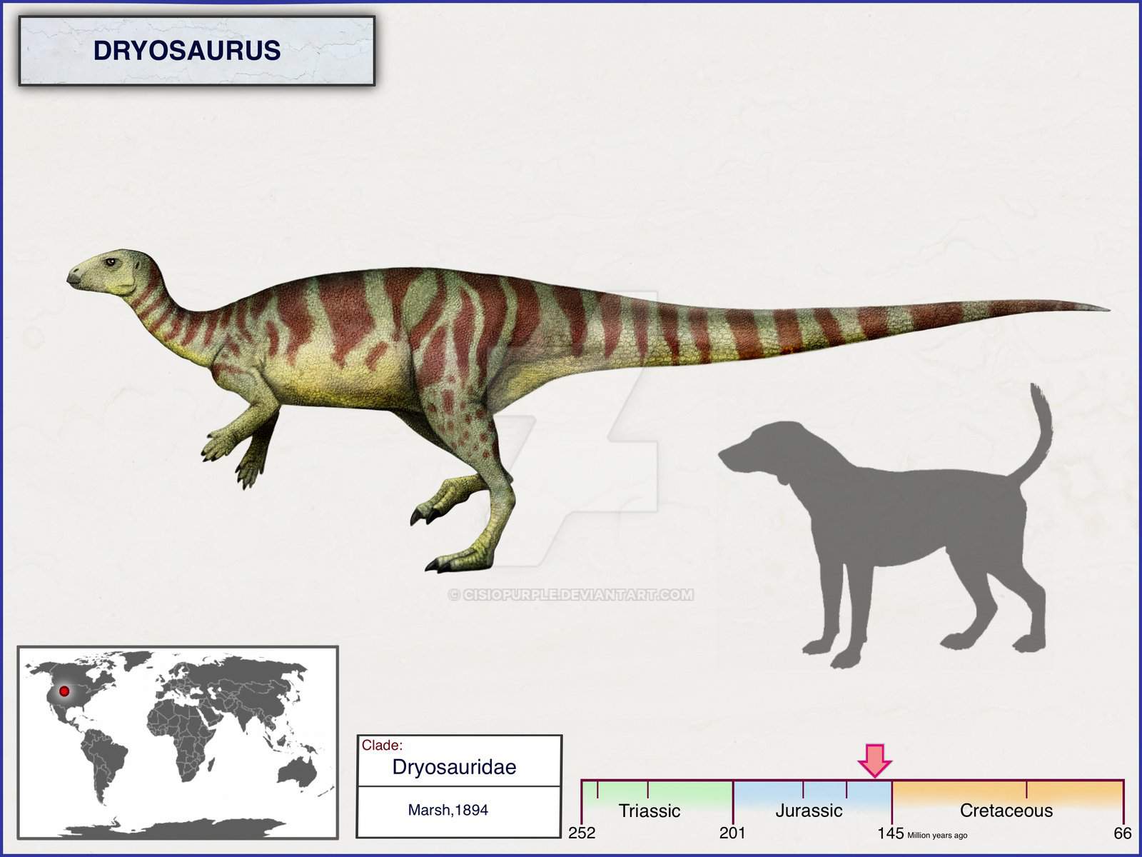 dinosaurs of the morrison formation