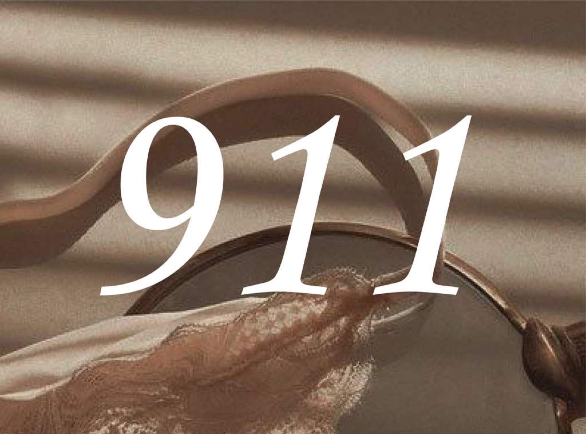 What S The Spiritual Meaning Of 911