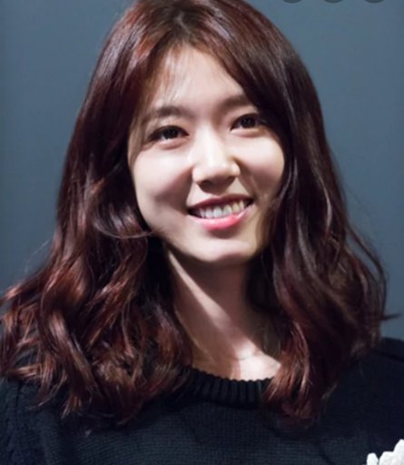 park shin hye fake