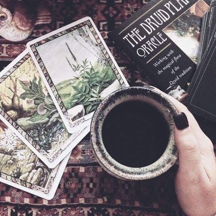 A Beginners Guide on How to Read Tea Leaves Wiki Wiccan Amino