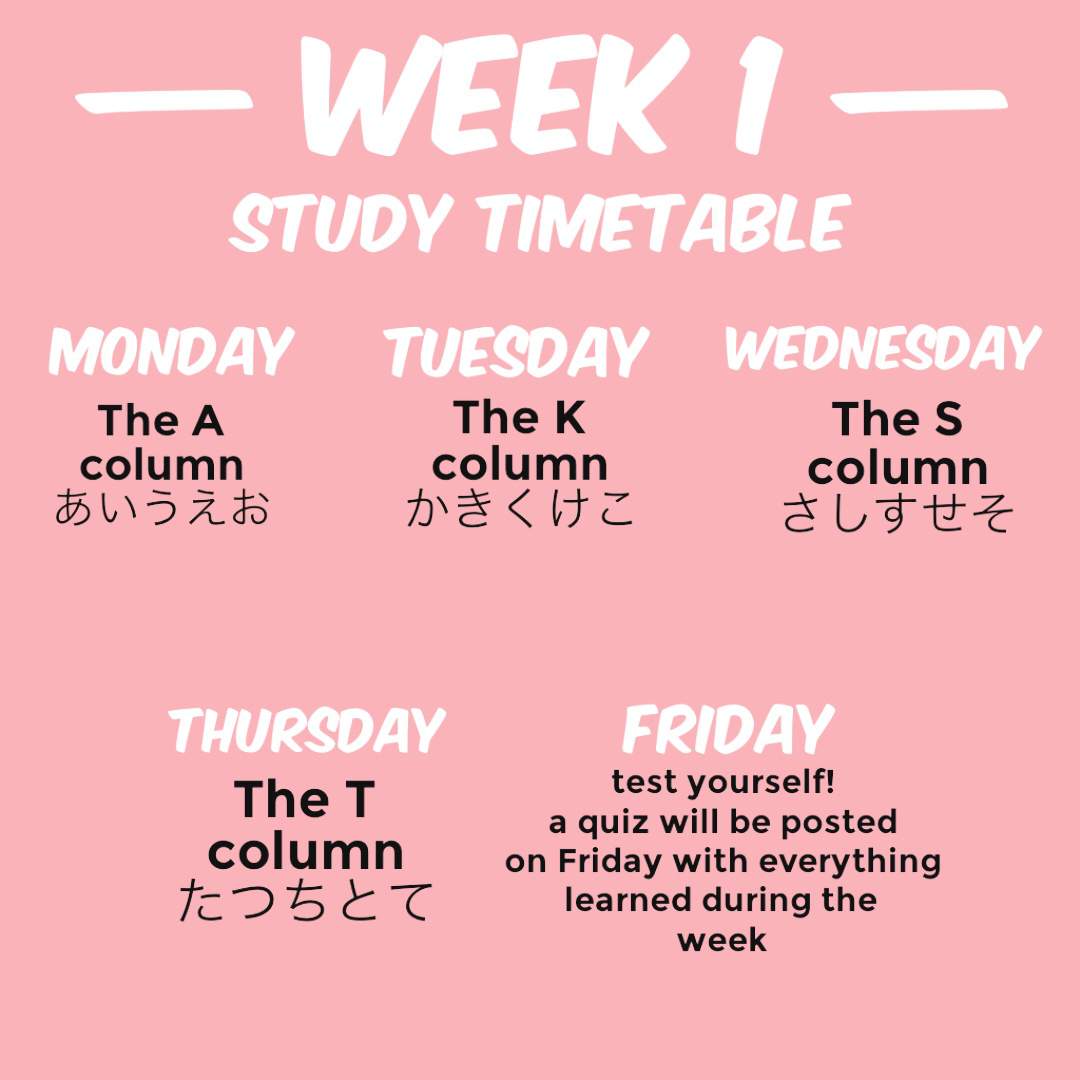 study-timetable-school-of-japanese-amino