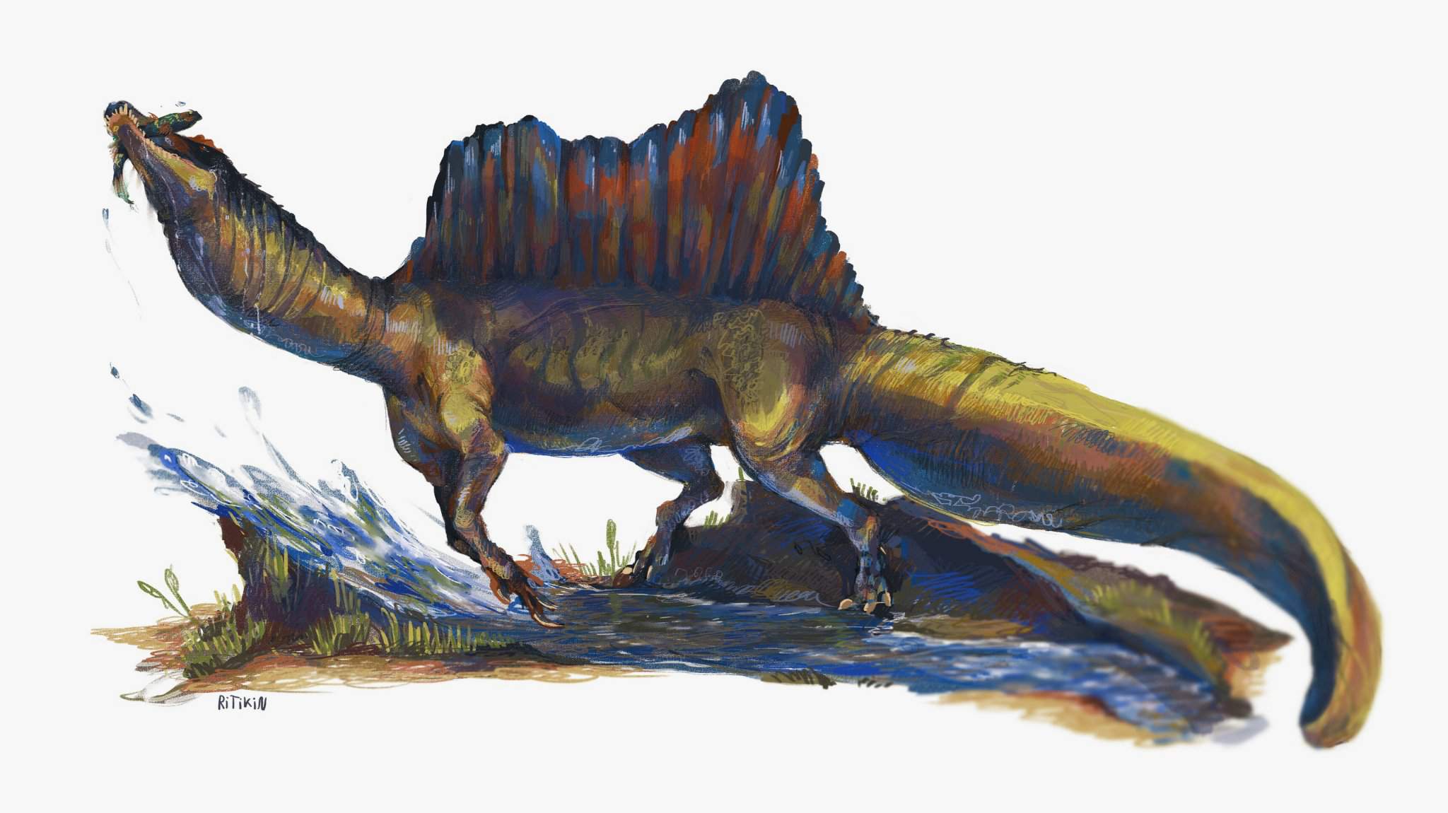 Спинозавр арт 2022