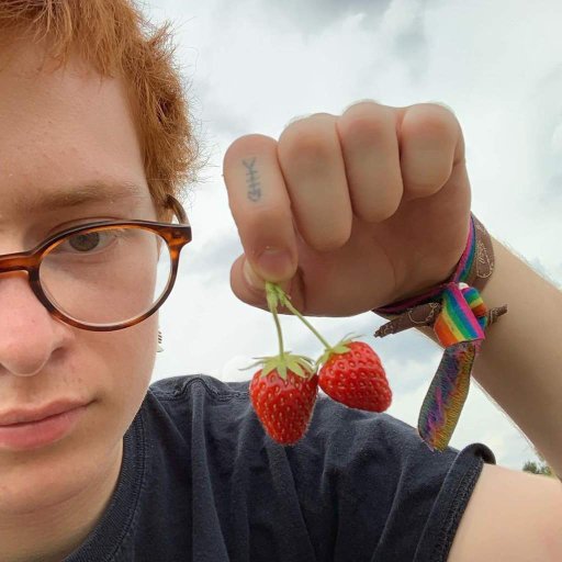 cavetown Wiki ARMYBR Amino