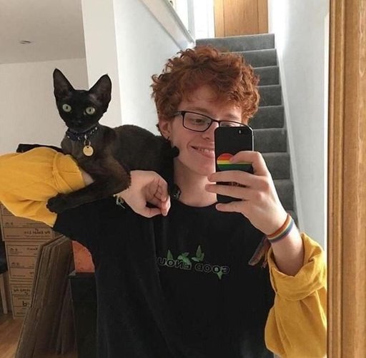cavetown Wiki ARMYBR Amino