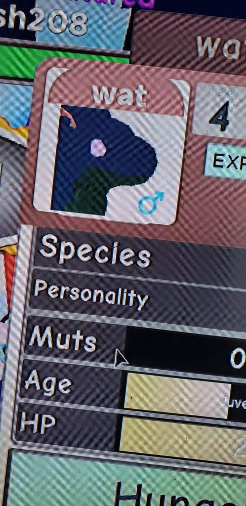 Legendary Eye Rainbow Saurium! Roblox Dragon Adventures Amino