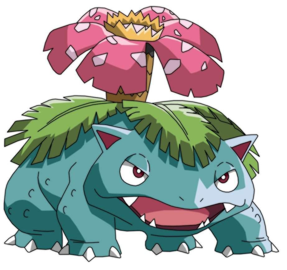 Florista the Venusaur Wiki Pokémon Amino