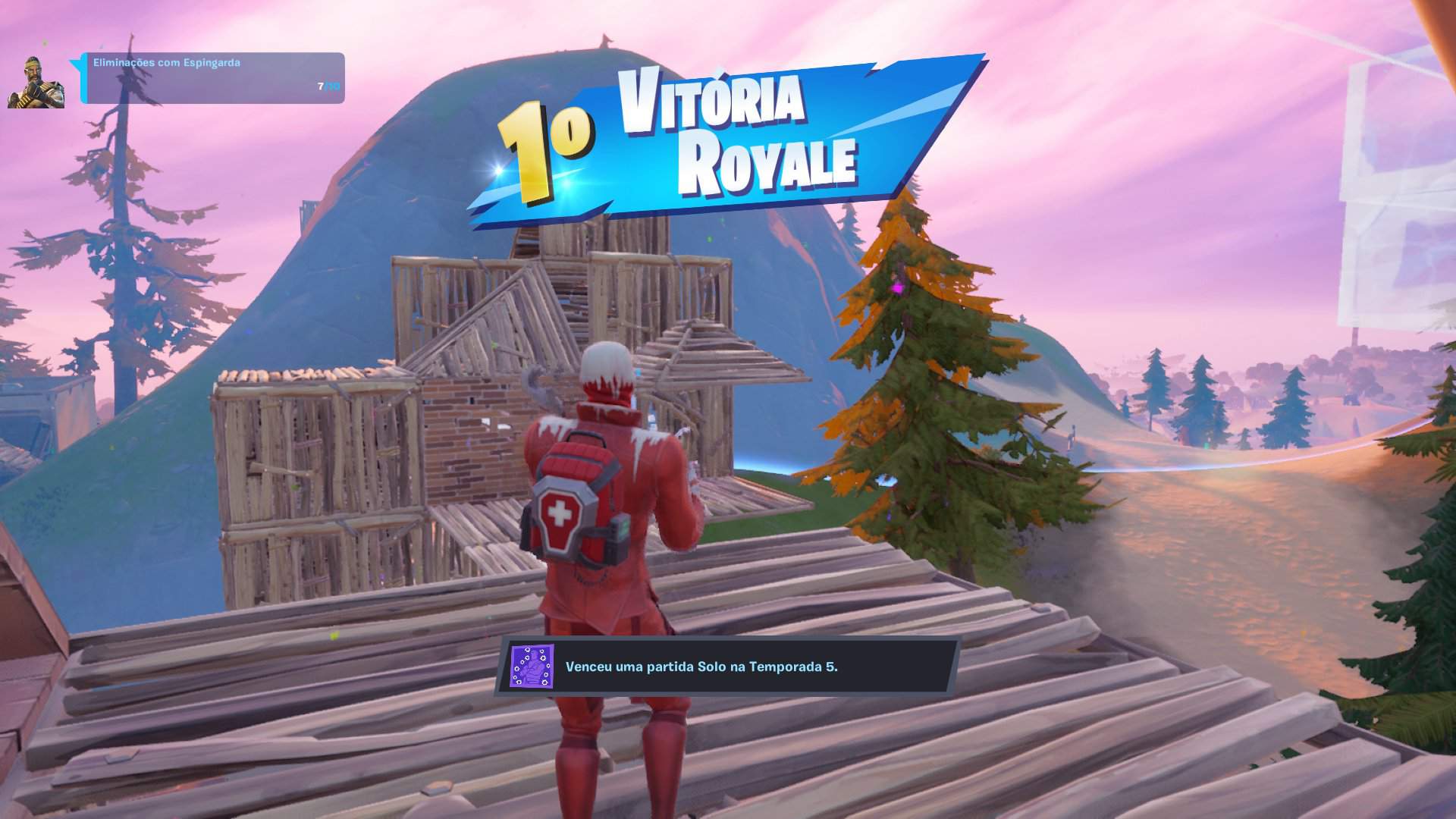 Primeira vitória solo família Fortnite Brasil Amino