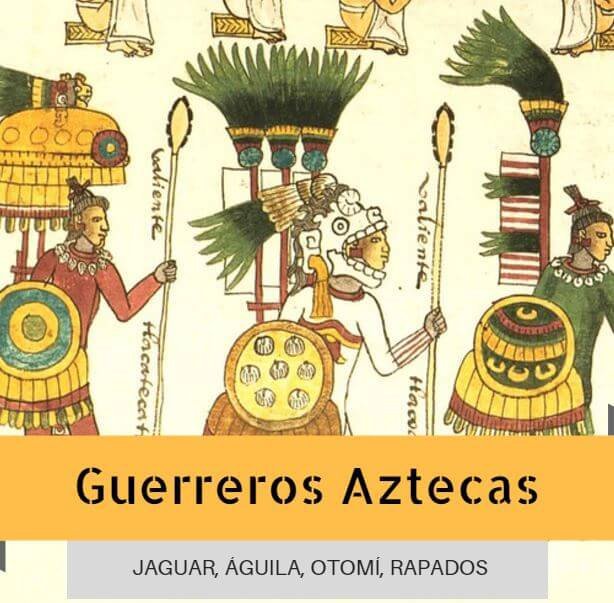 Guerreros Aztecas Wiki * México Amino * Amino.