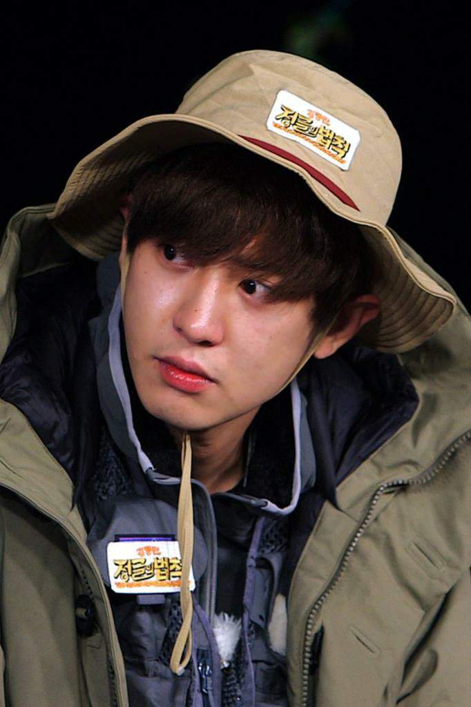 chanyeol law of the jungle