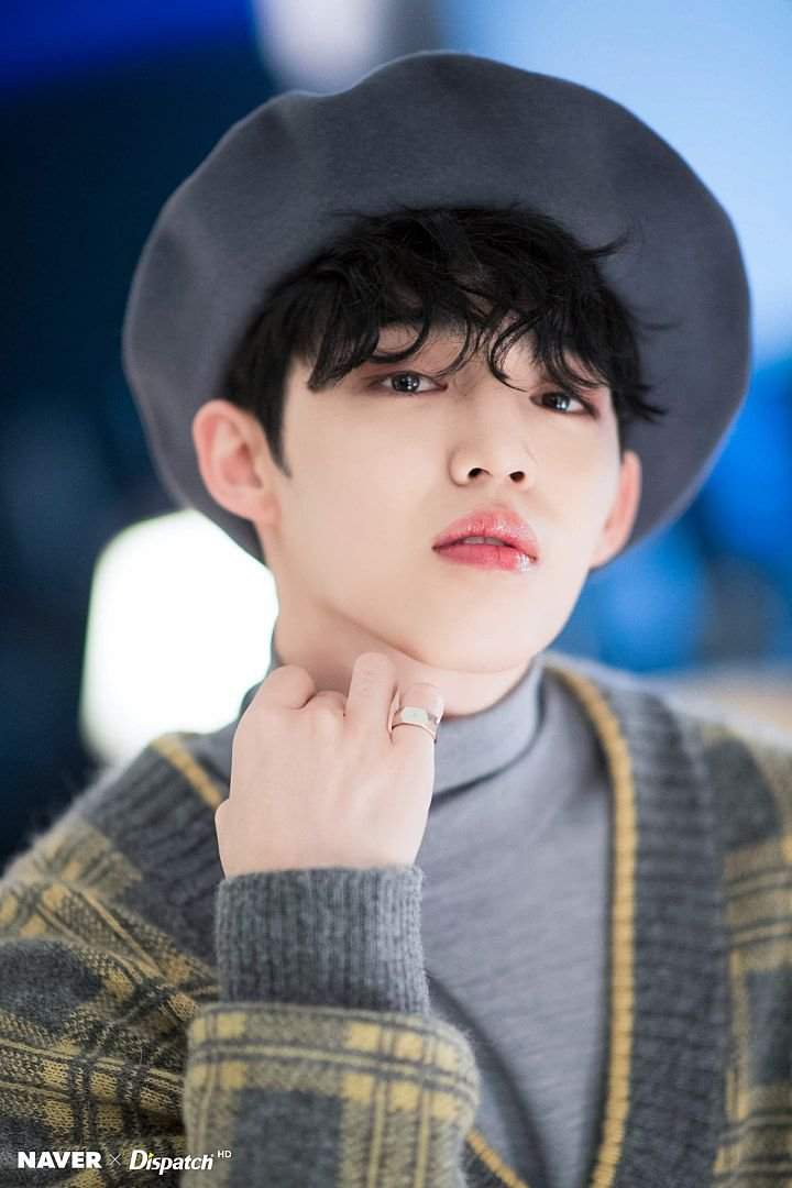 Choi Seung Cheol Wiki Carat 캐럿 Amino 