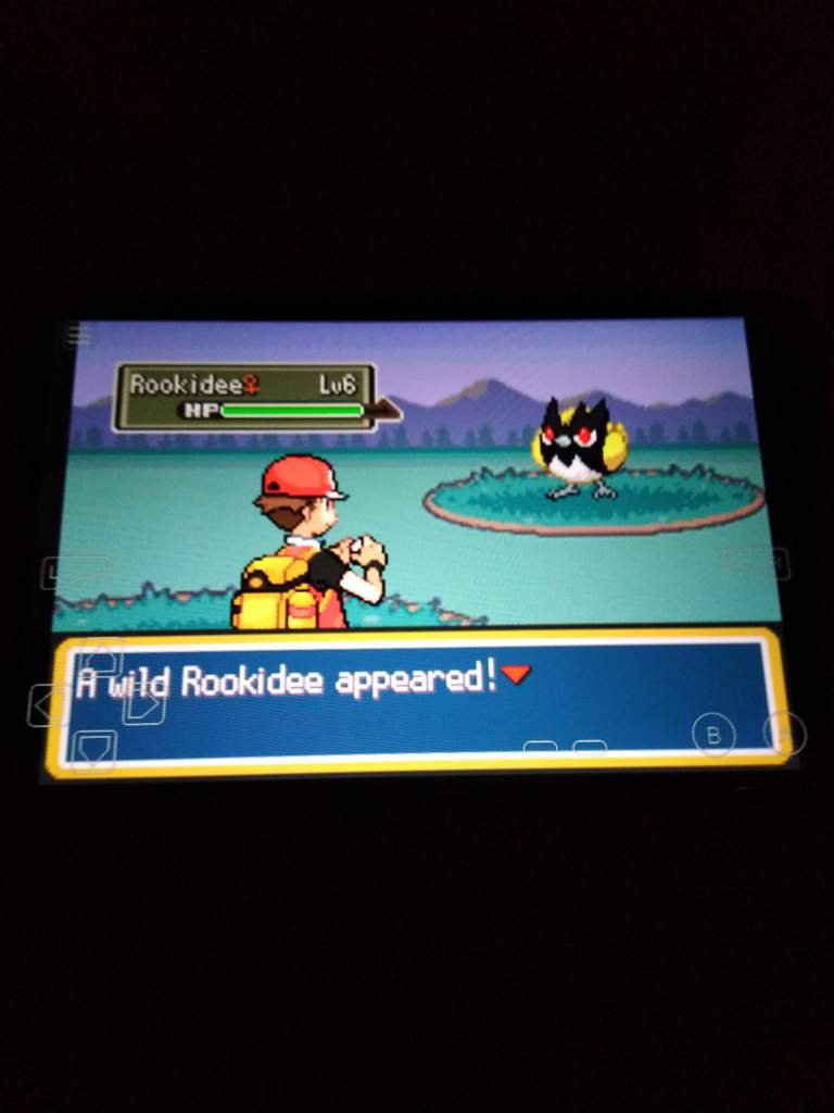 The Ultimate Radical Red Dex Review: Honest Opinions Only - 1fy0j3r