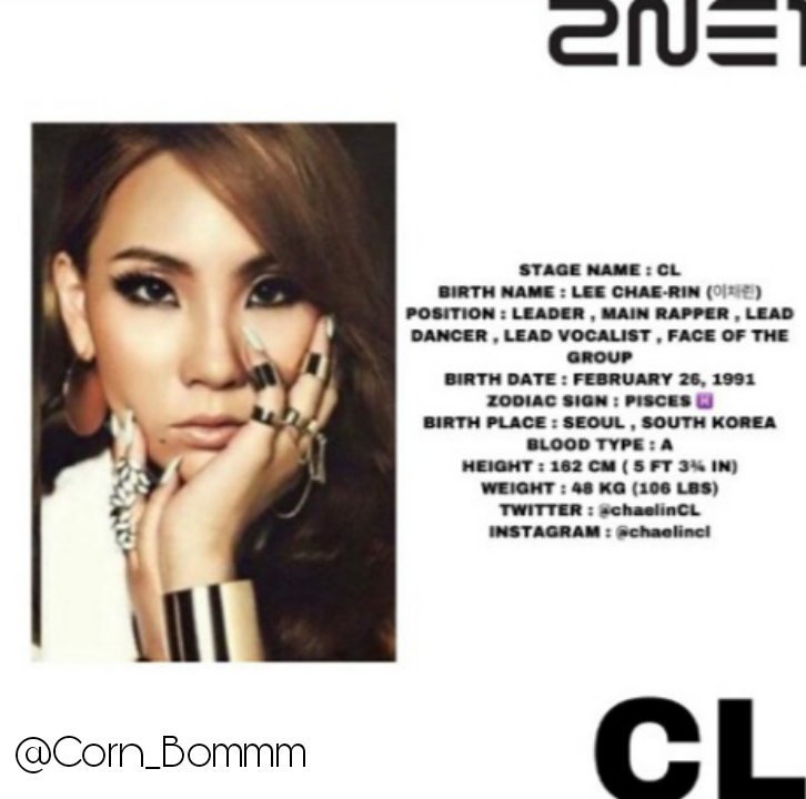 CL | Wiki | 2NE1 Amino