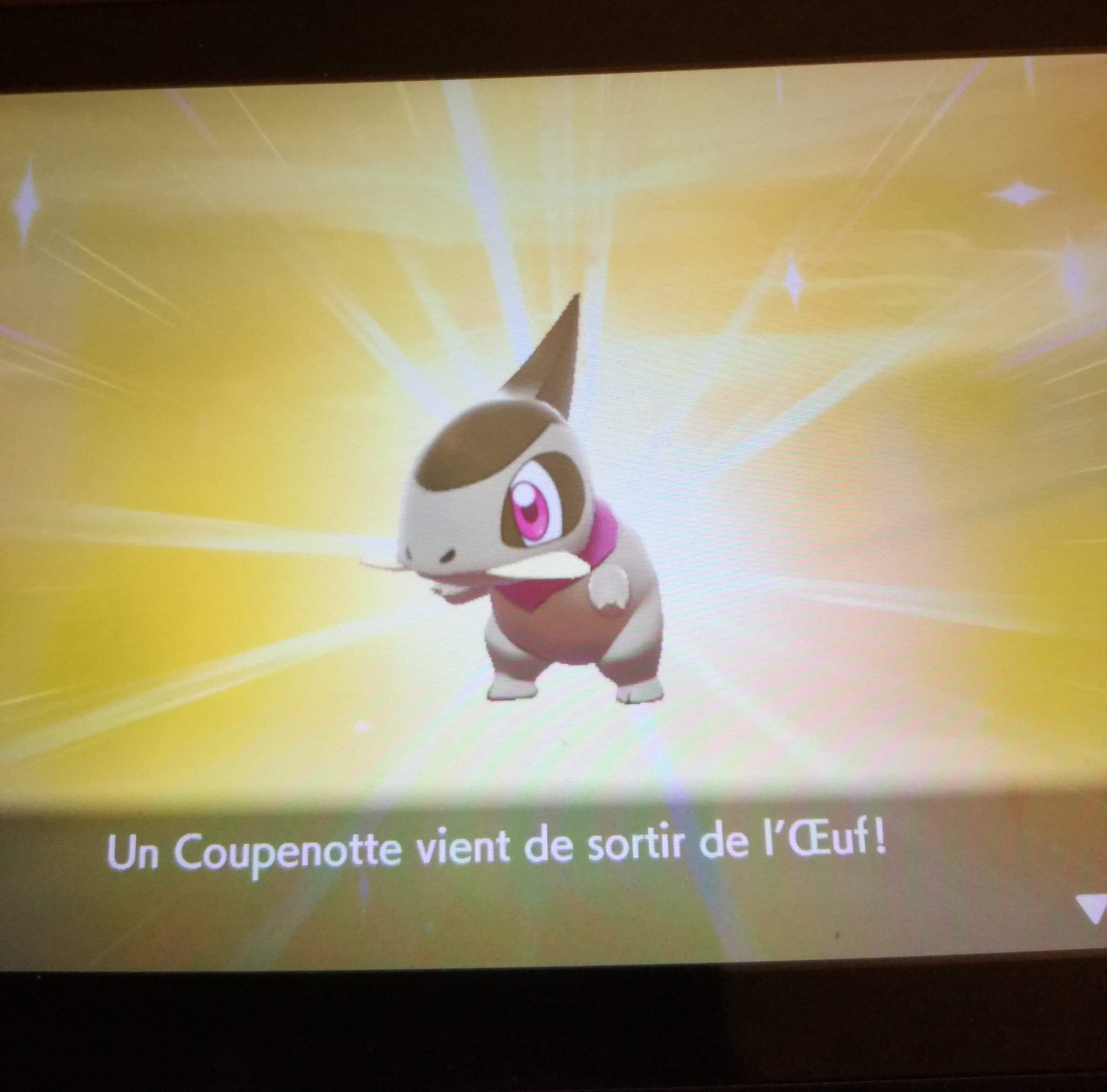 Coupenotte Chromatique Pokemon Shiny Amino