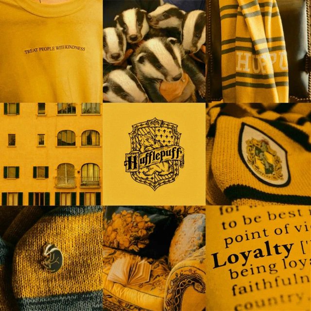 hufflepuff-valuing-hard-work-dedication-patience-loyalty-and-fair-play-rather-than-a