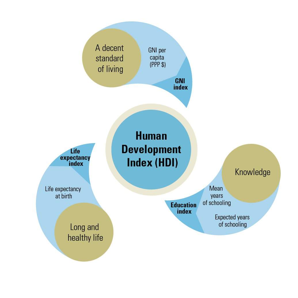 human-development-school-amino