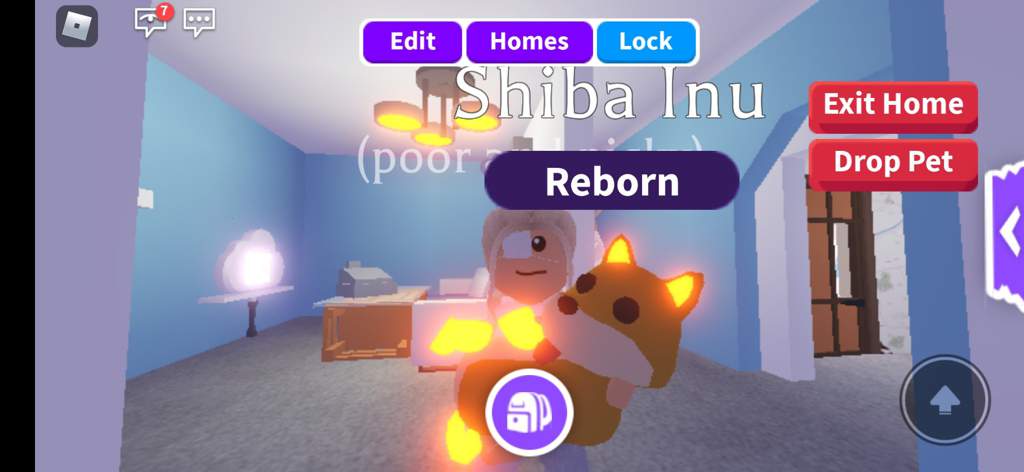 Neon Shiba Inu Giveaway Roblox Adopt Me Amino