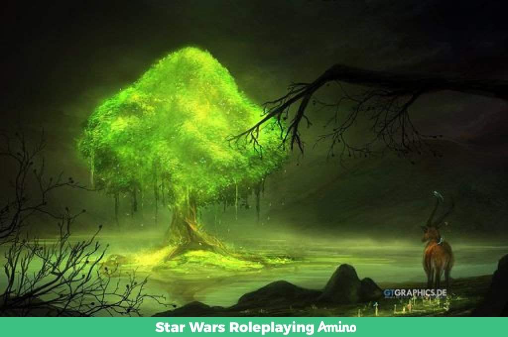 shirga-wiki-star-wars-amino