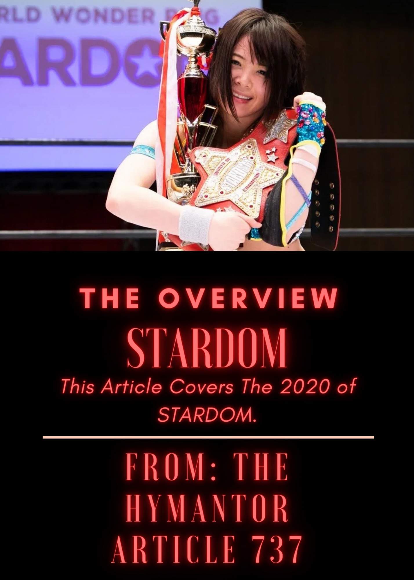 The Overview Stardoms Wrestling Amino