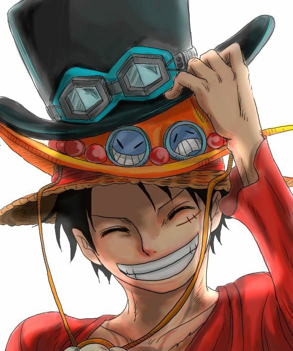 one piece brothers hats