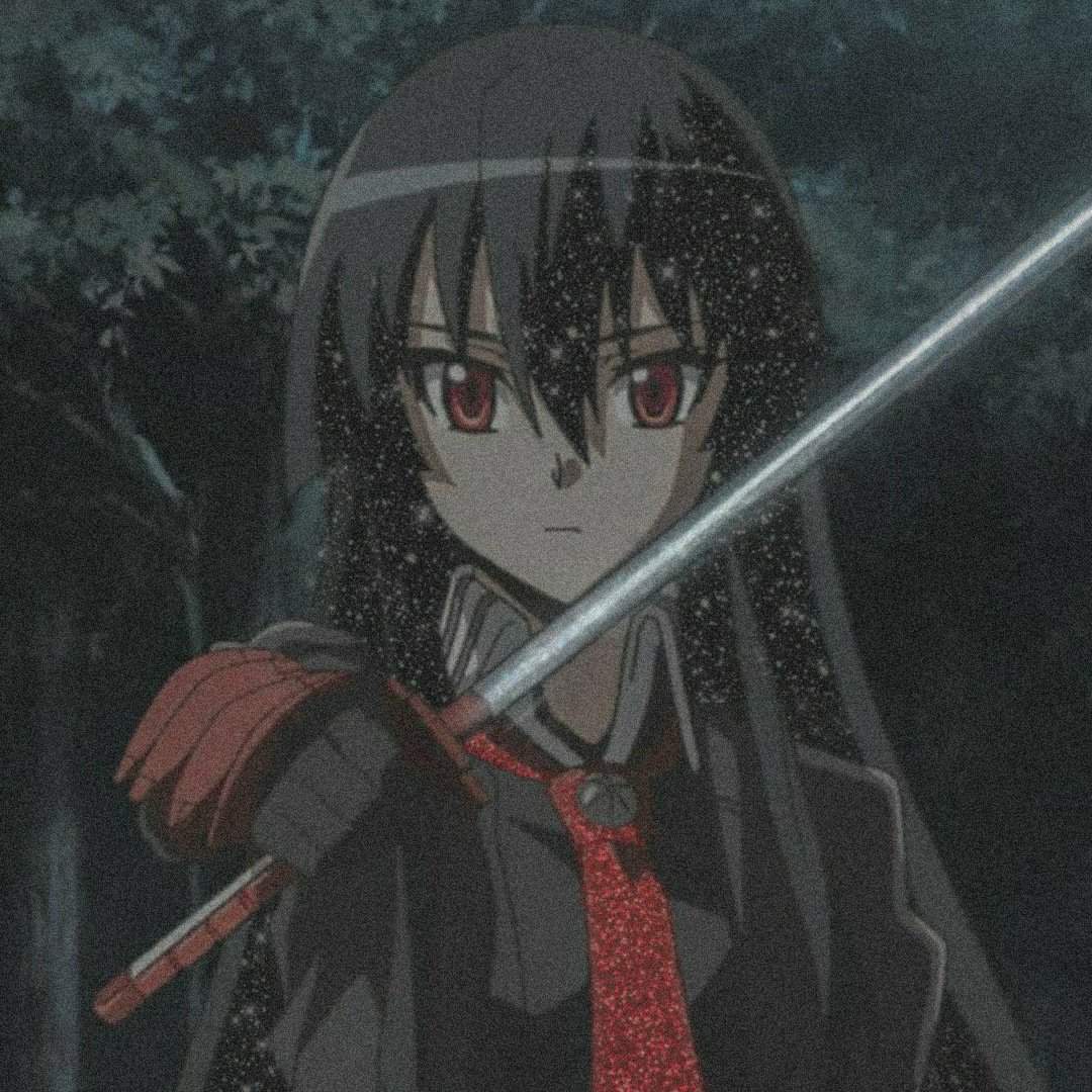 Featured image of post The Best 28 Akame Aesthetic Pfp