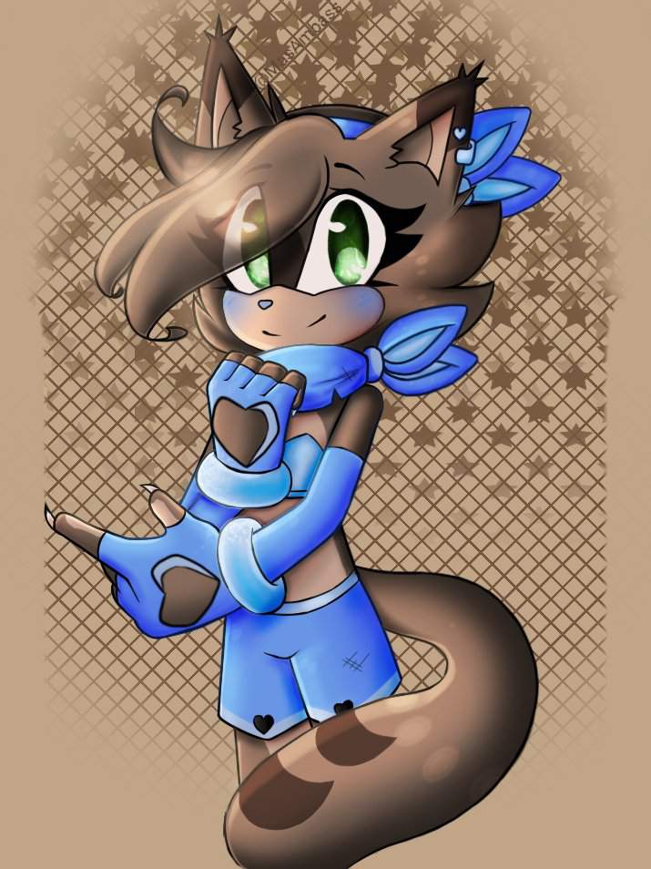 Bandit The Tanuki Sonic The Hedgehog Amino