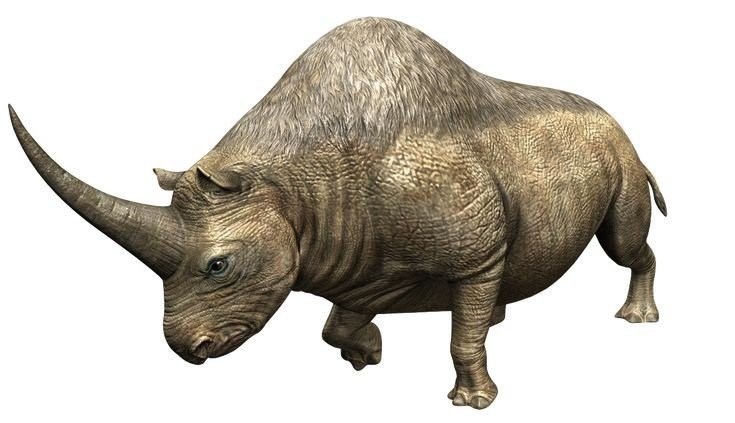 Elasmotherium Ecotensis Wiki Jurassic World Amino Rpg ™ Amino 1564