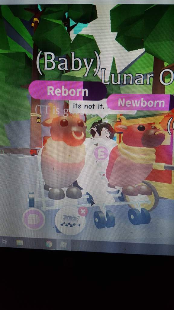 TRADING NEON OX Roblox (Adopt Me) Amino