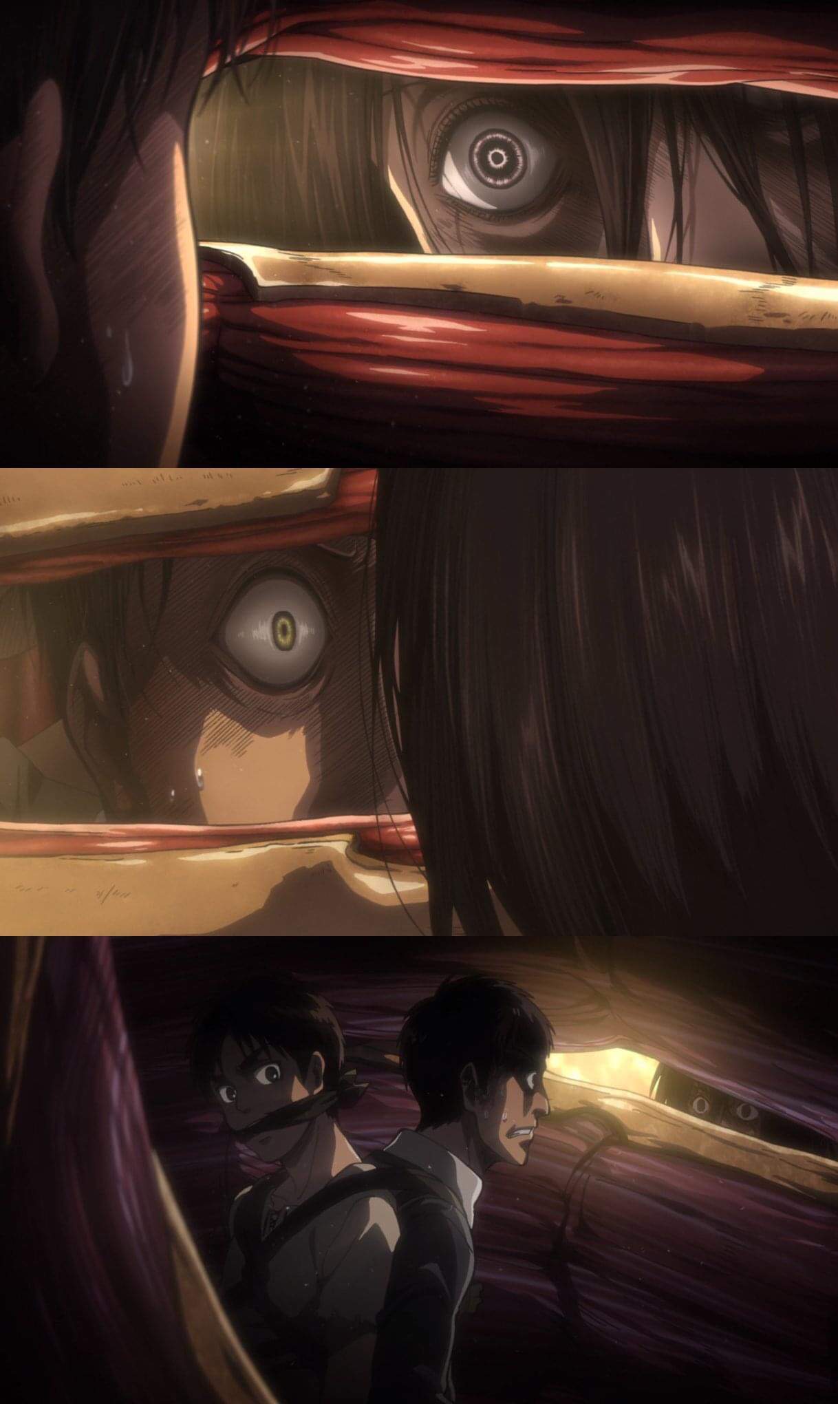 So Bertolt Who Is The Colossal Titan Is Scared Of Mikasa 